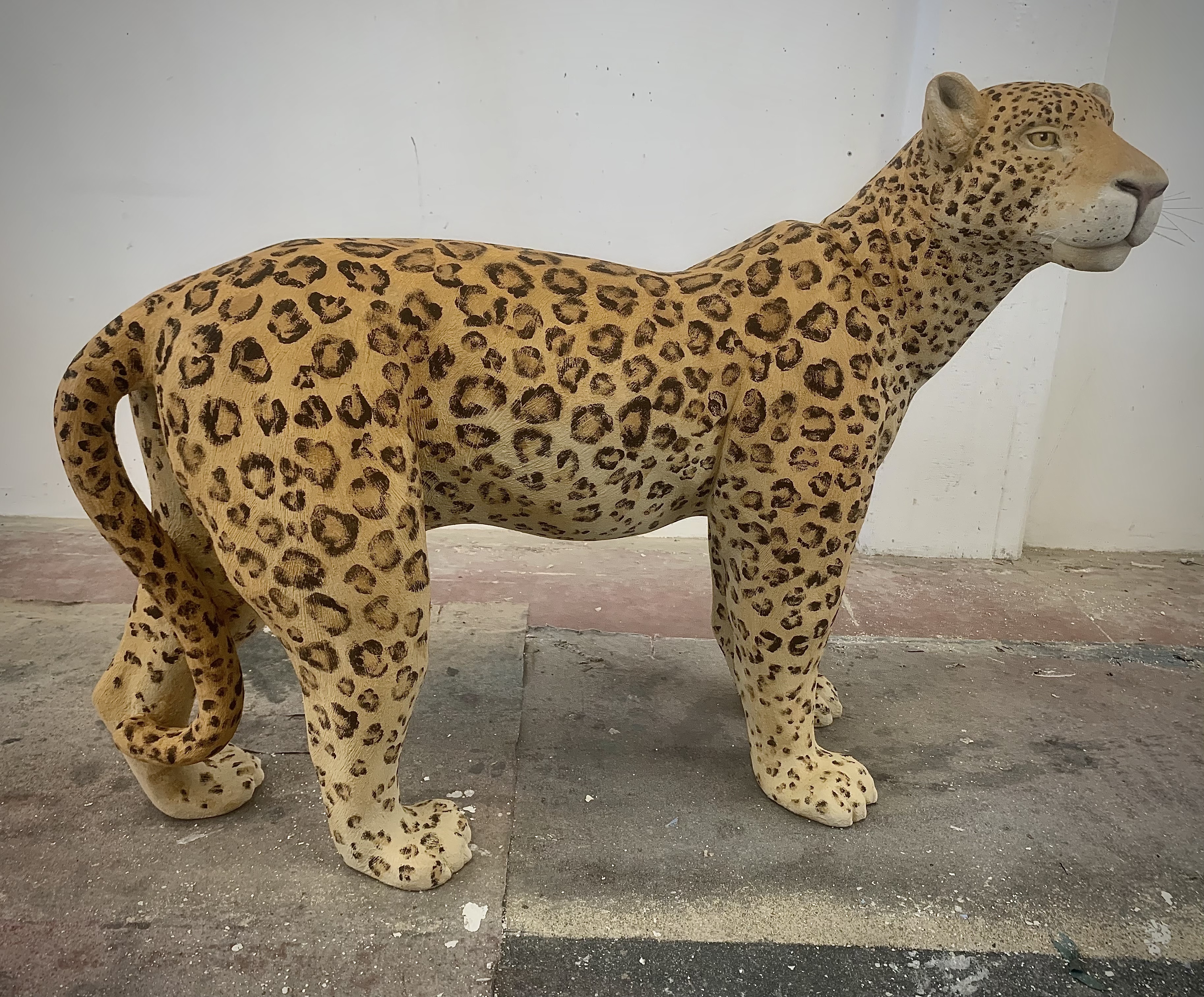 jaguar real size