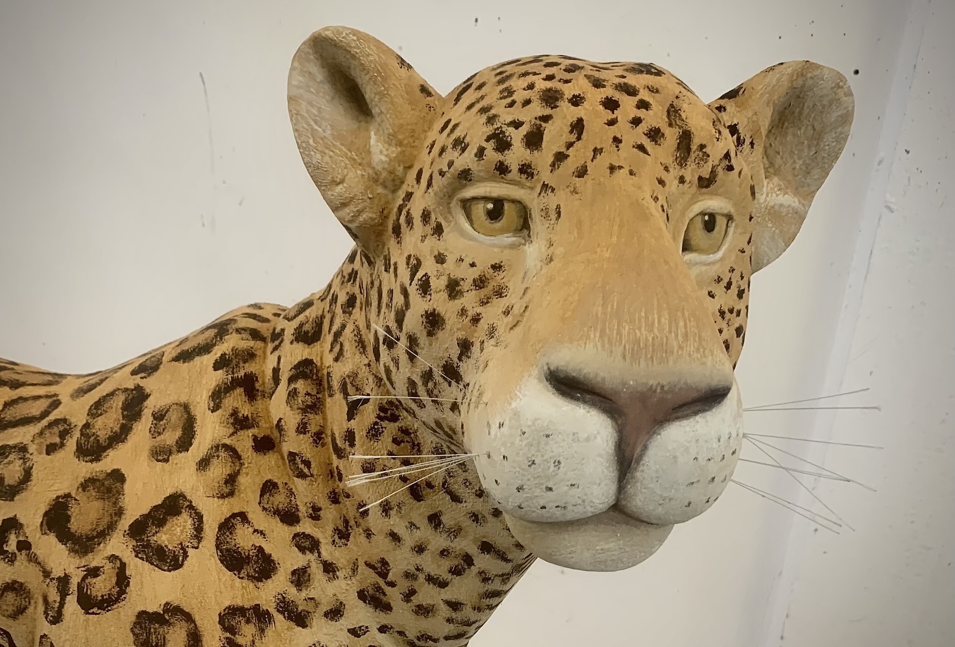 jaguar real size